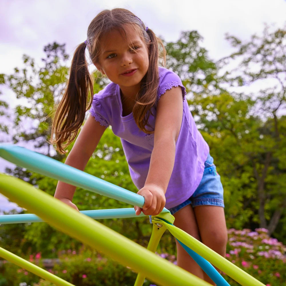 TP 1.9m Metal Climbing Dome and Sandpit Image 1